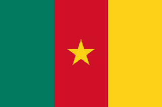 Traktamente under 2026 vid tjänsteresor till Kamerun