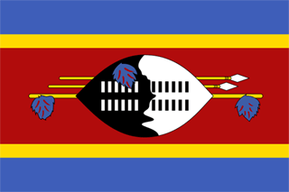 Traktamente under 2023 vid tjänsteresor till Swaziland