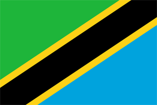 Traktamente under 2022 vid tjänsteresor till Tanzania