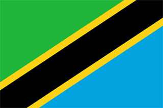 Traktamente under 2026 vid tjänsteresor till Tanzania