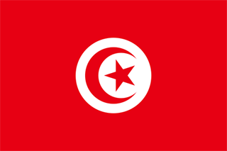 Traktamente under 2026 vid tjänsteresor till Tunisien